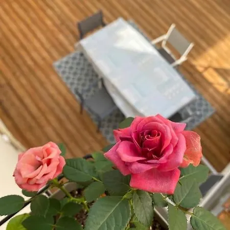 Maison Cosy A Holiday home